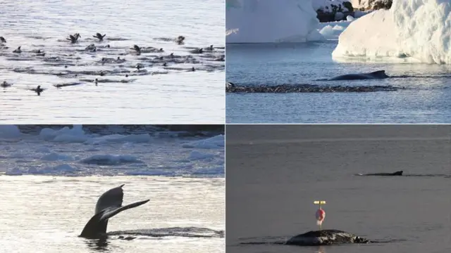 26 експедиція