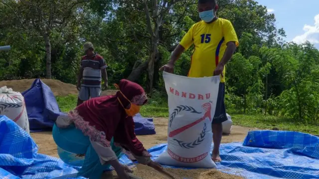 covid-19, petani, bansos, virus corona, resesi