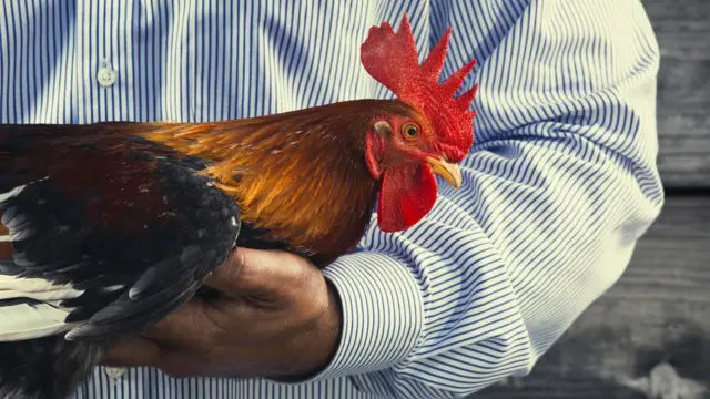 కోడితో వ్యక్తి