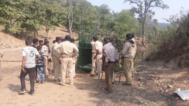 જંગલમાં દીપડાને પકડવા માટે પિંજરૂ મુકવામાં આવ્યું