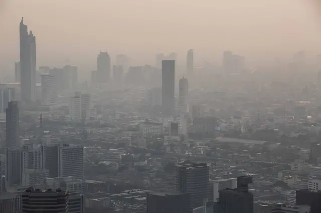 ภาพ ข่าว ยอดเยี่ยม เด่น 2562