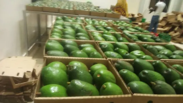 Avoka ziri mu bikarito