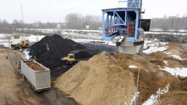 حبيبات الخشب