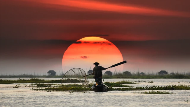 Fisherman