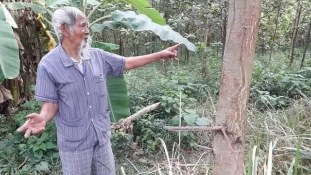Ông Lê Đình Kình