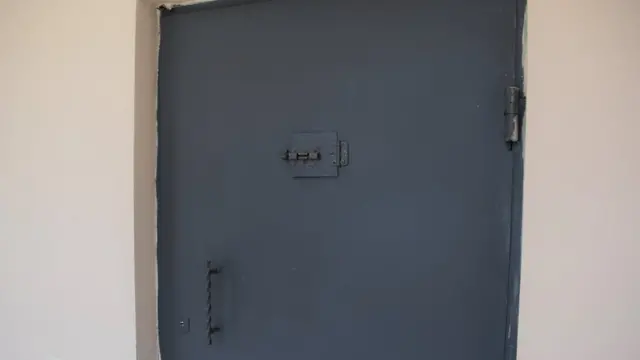 Металлическая дверь