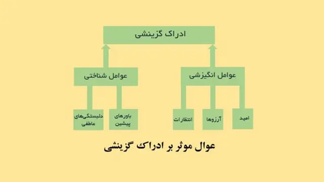 ادراک گزینشی