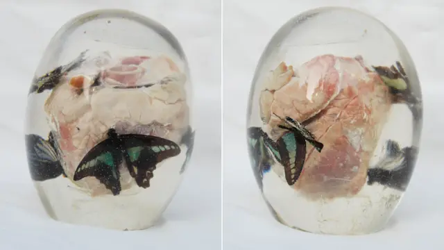 Scarlet Isherwood's artworks