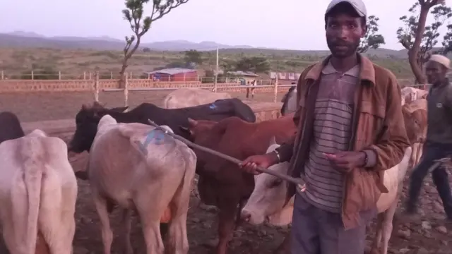 Jiboota qonnaan bultootaaf kennaman