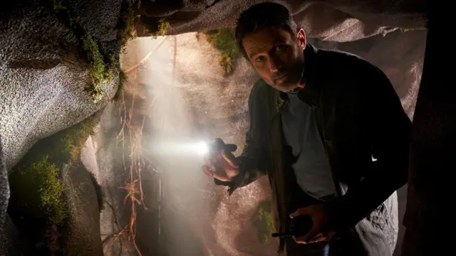 Кардинал: Сезон мошкари