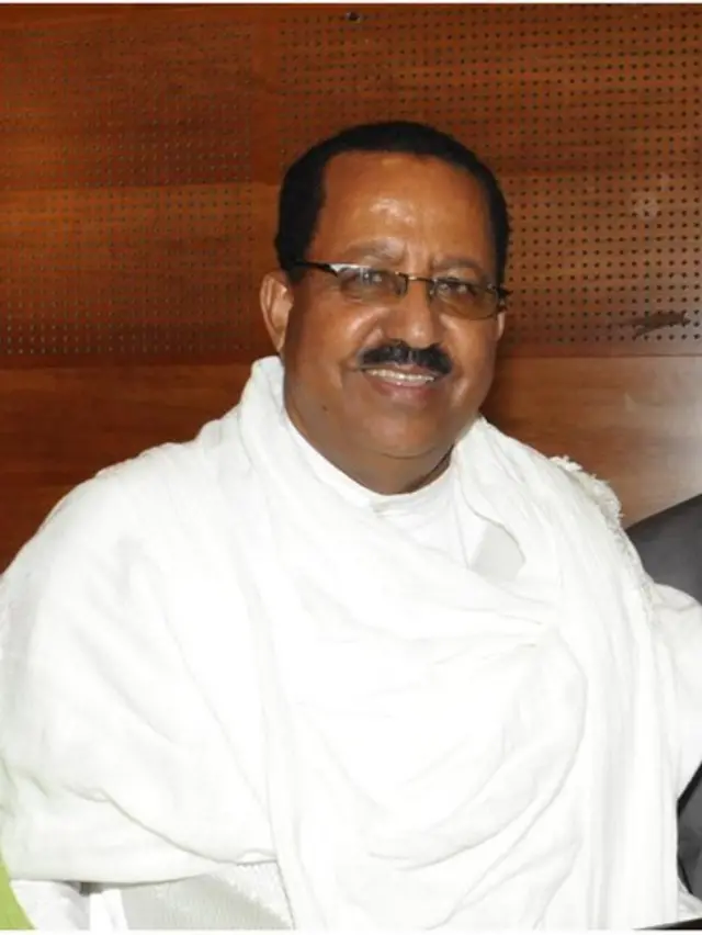 አያልነህ ሙላቱ በአሁኑ ወቅት