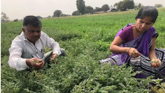 पूनमचे आई-वडील