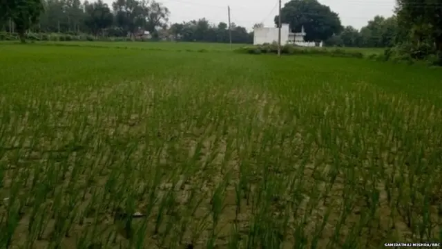 ਇਹ ਪਿੰਡ ਅਯੁੱਧਿਆ ਜ਼ਿਲ੍ਹੇ ਦੀ ਸੋਹਵਾਲ ਤਹਿਸੀਲ ਵਿੱਚ ਪੈਂਦਾ ਹੈ ਅਤੇ ਰੌਨਾਹੀ ਥਾਣੇ ਤੋਂ ਕੁਝ ਕੁ ਕਿਲੋਮੀਟਰ ਦੀ ਦੂਰੀ 'ਤੇ ਹੈ