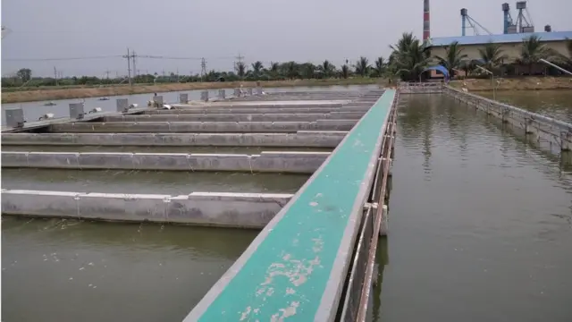 আইপিআরএস পদ্ধতিতে বড় আকারের পুকুরে কংক্রিটের ছোট ছোট চ্যানেল