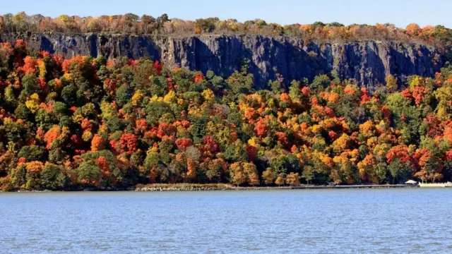 هل حقا هوليوود هي مهد صناعة السينما الأمريكية؟