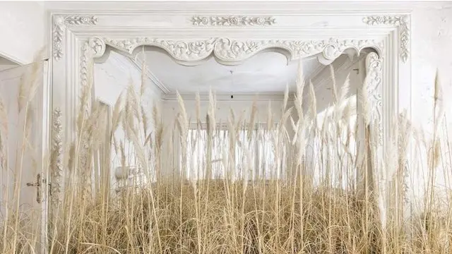 عکسی از گوهر دشتی