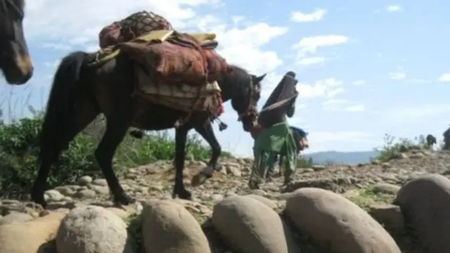 కఠువా గ్యాంగ్ రేప్