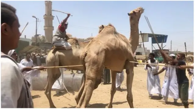 جمال تتعرض للضرب