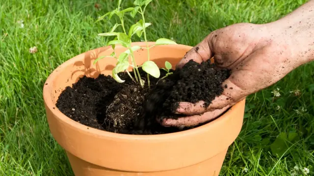 मातीची कुंडी