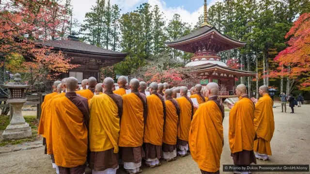 జపాన్ అడవుల్లో దాగిన ప్రాచీన ఆలయాలు