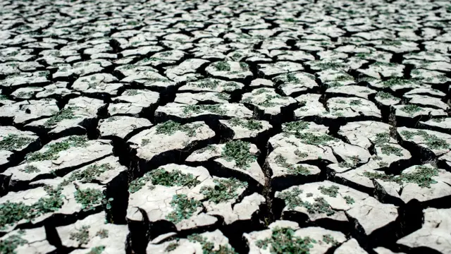 Tierra resquebrajada por la sequía en el lecho del lago Peñuelas en Chile