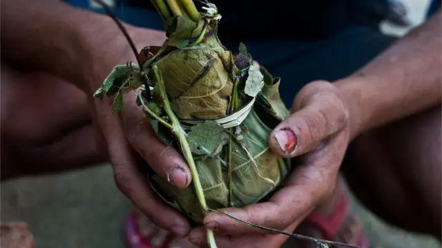 সাঁওতাল জনগোষ্ঠীর এক ব্যক্তির হাতে পাতার ঠোঙার ভেতর পিঁপড়া যা খাবার হিসাবে তাদের জন্য ডেলিকেসি