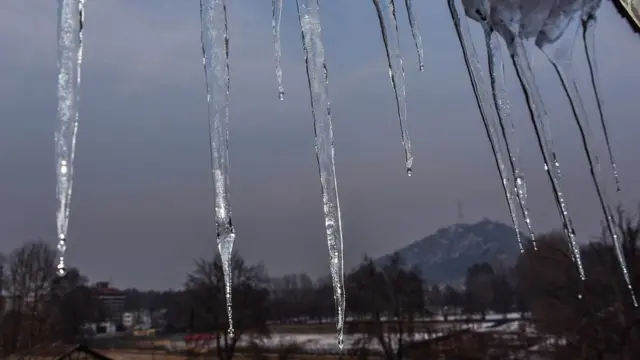 د هندي کشمیر سرینګر