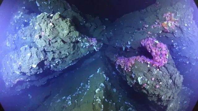 Placas en el fondo oceánico