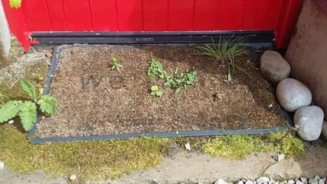 بساط على أعتاب منزل