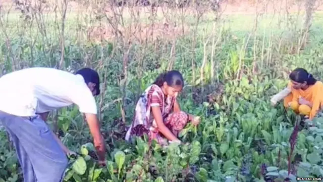 प्रातिनिधिक फोटो