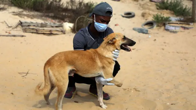 سعيد العر يعتني بكلب