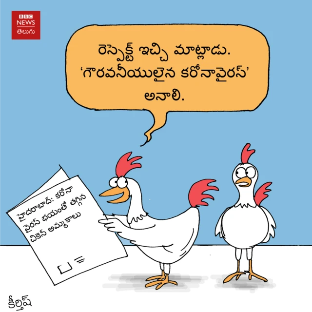 చికెన్.. కోళ్లు.. కరోనా వైరస్