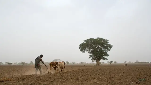 O'iruu qonnaa Alaabaa Qulliittoo