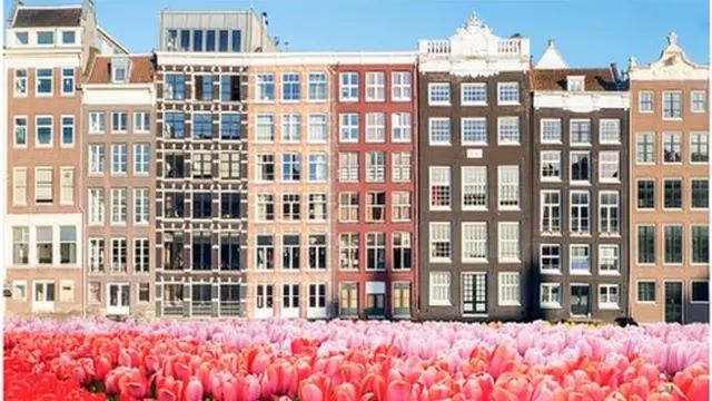 ตลาดดอกไม้