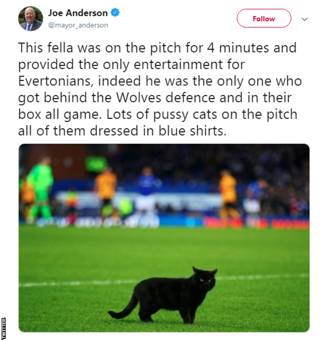 Everton cat Game held up for pitch invader as Wolves win BBC Sport