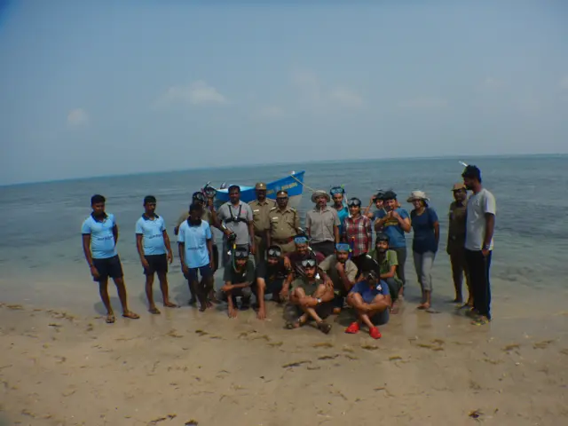 கடலோர மீனவர் வலைகளில் சிக்கும் திமிங்கிலம் போன்ற ஆழ்கடல் உயிரிகள்