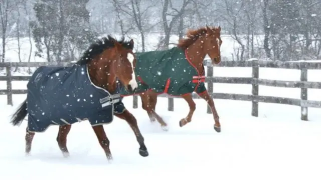 மெட்ரோ (இடது) பார்க் சோப்(வலது)