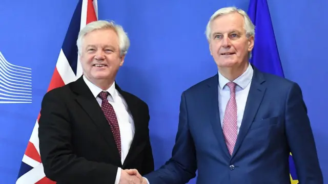 Дэвид Дэвис, Мишель Барнье