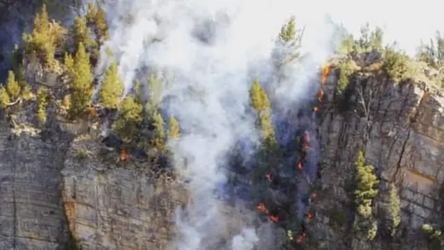 شیرانی میں چلغوزے کے جنگلات میں آتشزدگی