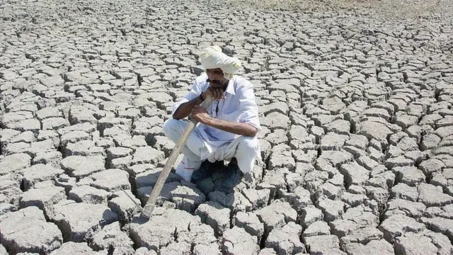 પ્રતીકાત્મક તસવીર