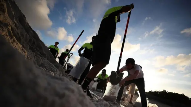 مسؤولون بالمتنزهات يملؤون أكياس بالرمال