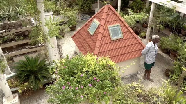 રેઇન વોટર હાર્વેસ્ટિંગ