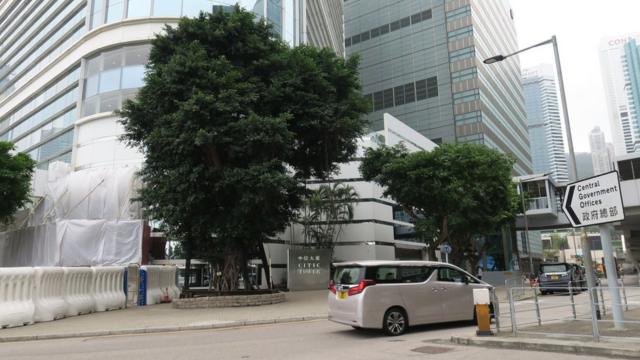 香港特區政府總部建築群與中信大廈外保留自添馬艦海軍船塢的細葉榕（左）（14/4/2021）