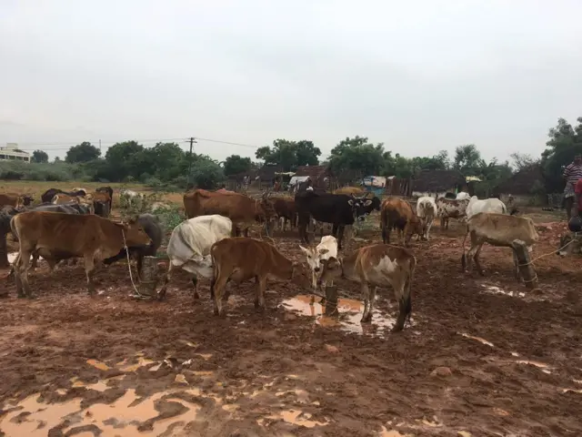 நீடிக்கும் தாக்கம்