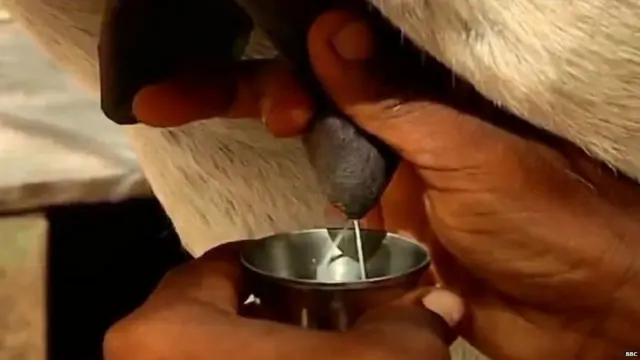 ਗਧੇ ਦਾ ਦੁੱਧ, ਗਧੇ ਦਾ ਮਾਸ, ਮੀਟ