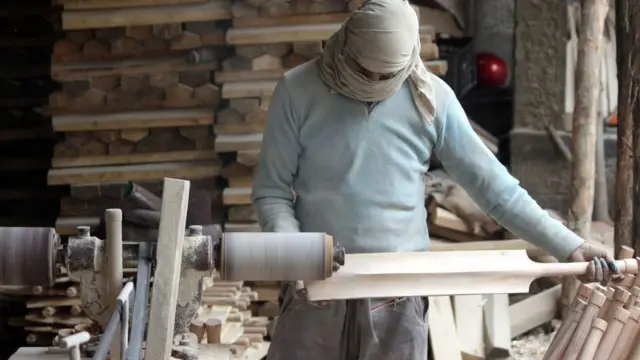 ভারতের কাশ্মীরে তৈরি হচ্ছে ইউলও কাঠের ব্যাট।