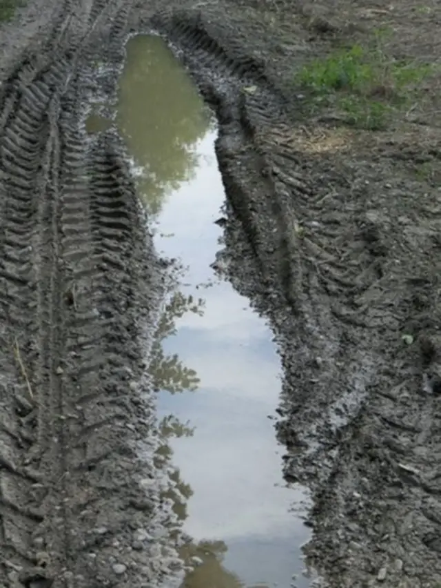 Bara na kolskom putu u Zasavici gde je pronađen rak Triops cancriformis