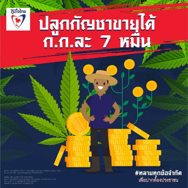 กัญชาเสรี