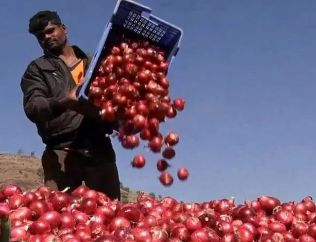 कांदा, आयात-निर्यात