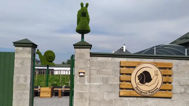 Равликова ферма у селі Солонка на Львівщині